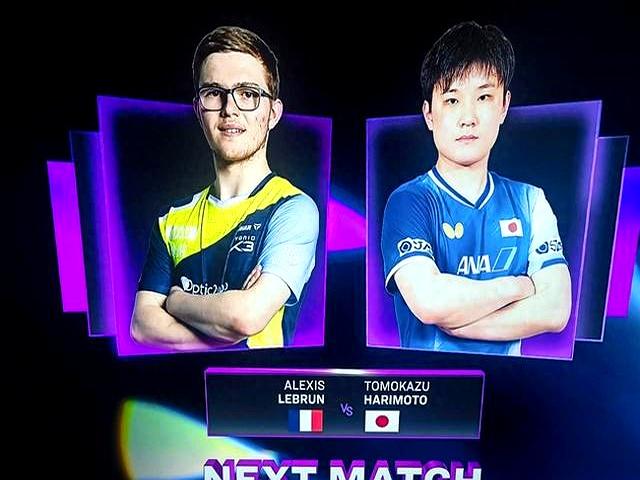 英格兰队轻取日本队,张本智和扛起全队 英格兰队轻取日本队,张本智和扛起全队