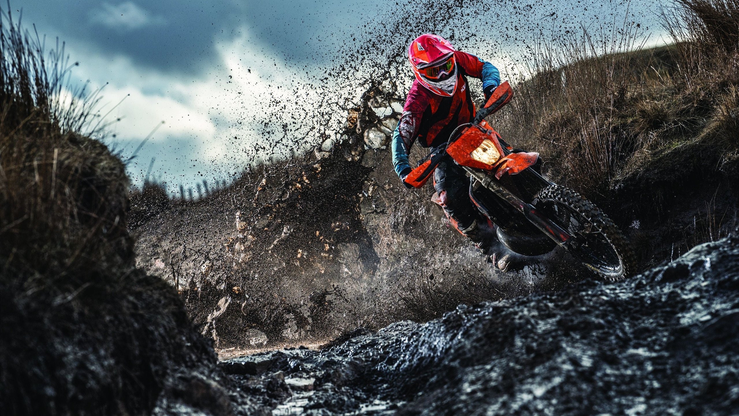 当莱比锡红牛的铁蹄踏碎荷兰郁金香，NBA季后赛的跨时空启示