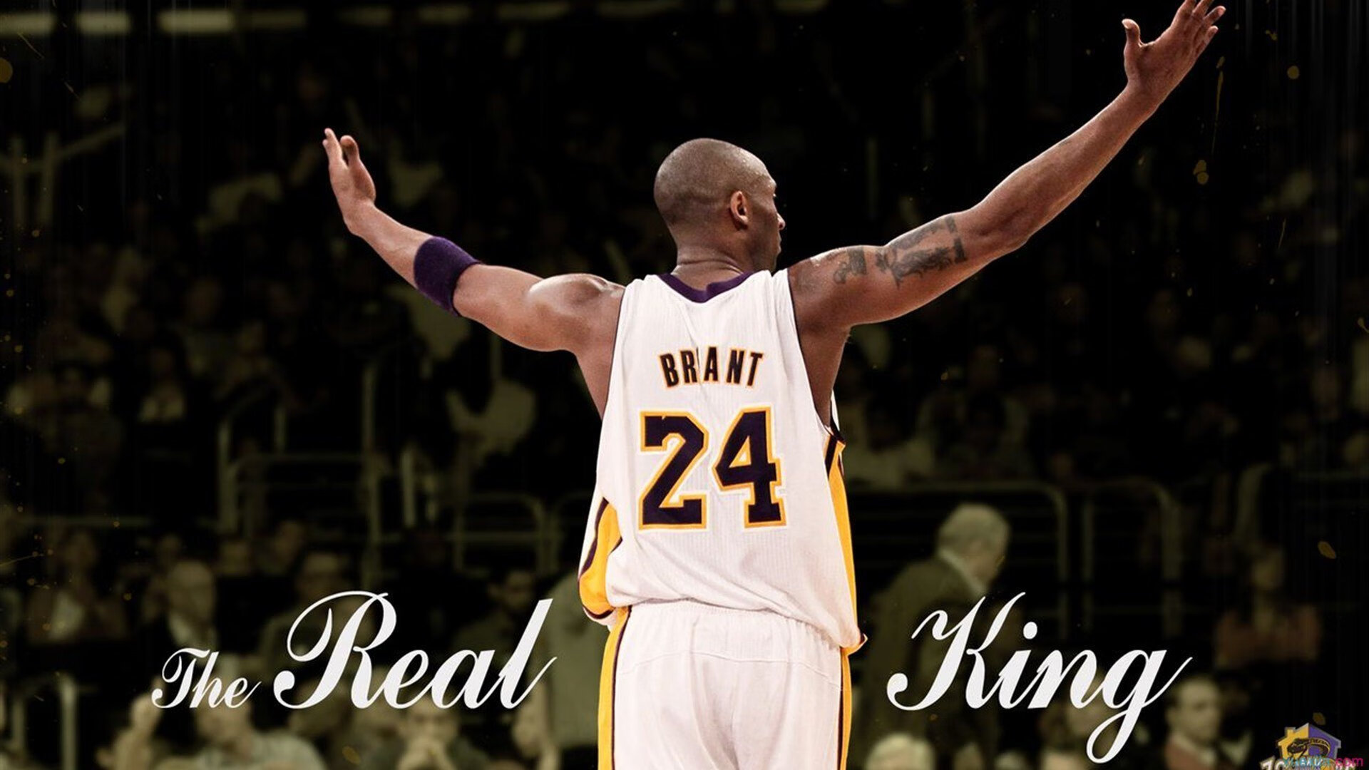 文班亚马无解背后，当火箭的未来撞上广东队的现在